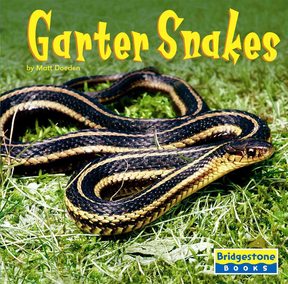 Garter Snakes (World of REPTILES),Used