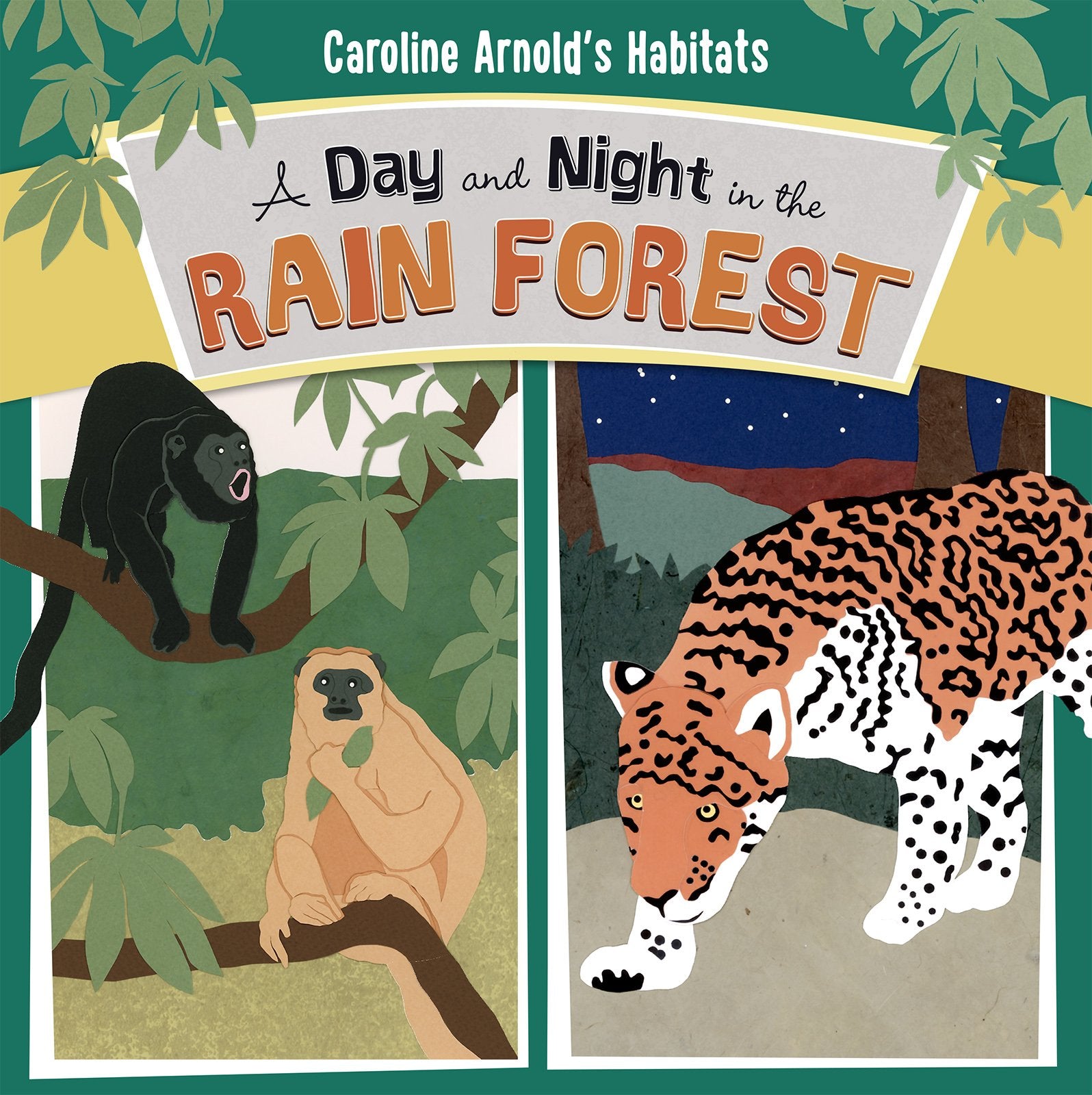 A Day and Night in the Rain Forest (Habitats),Used