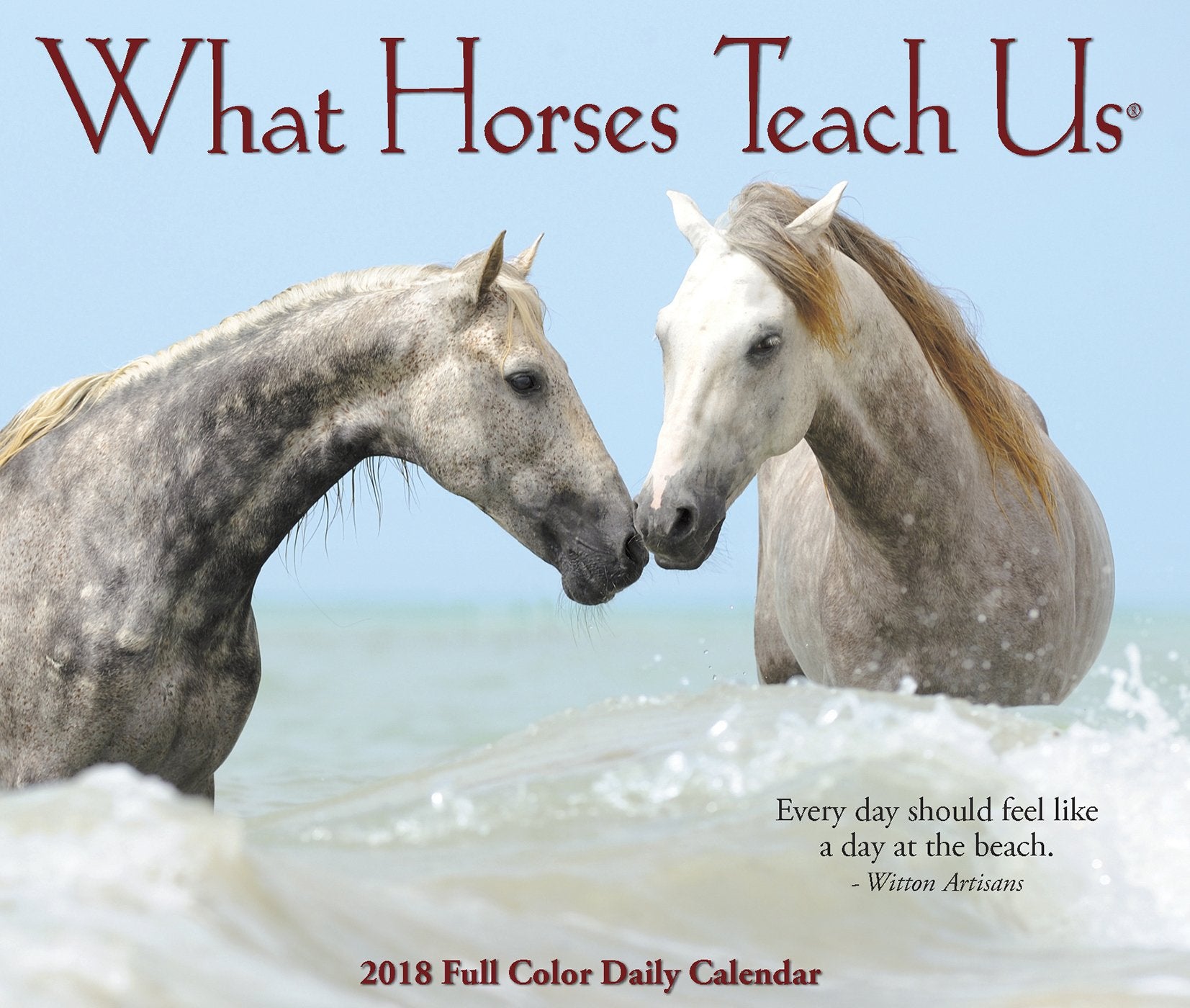 What Horses Teach Us 2018 Calendar,Used