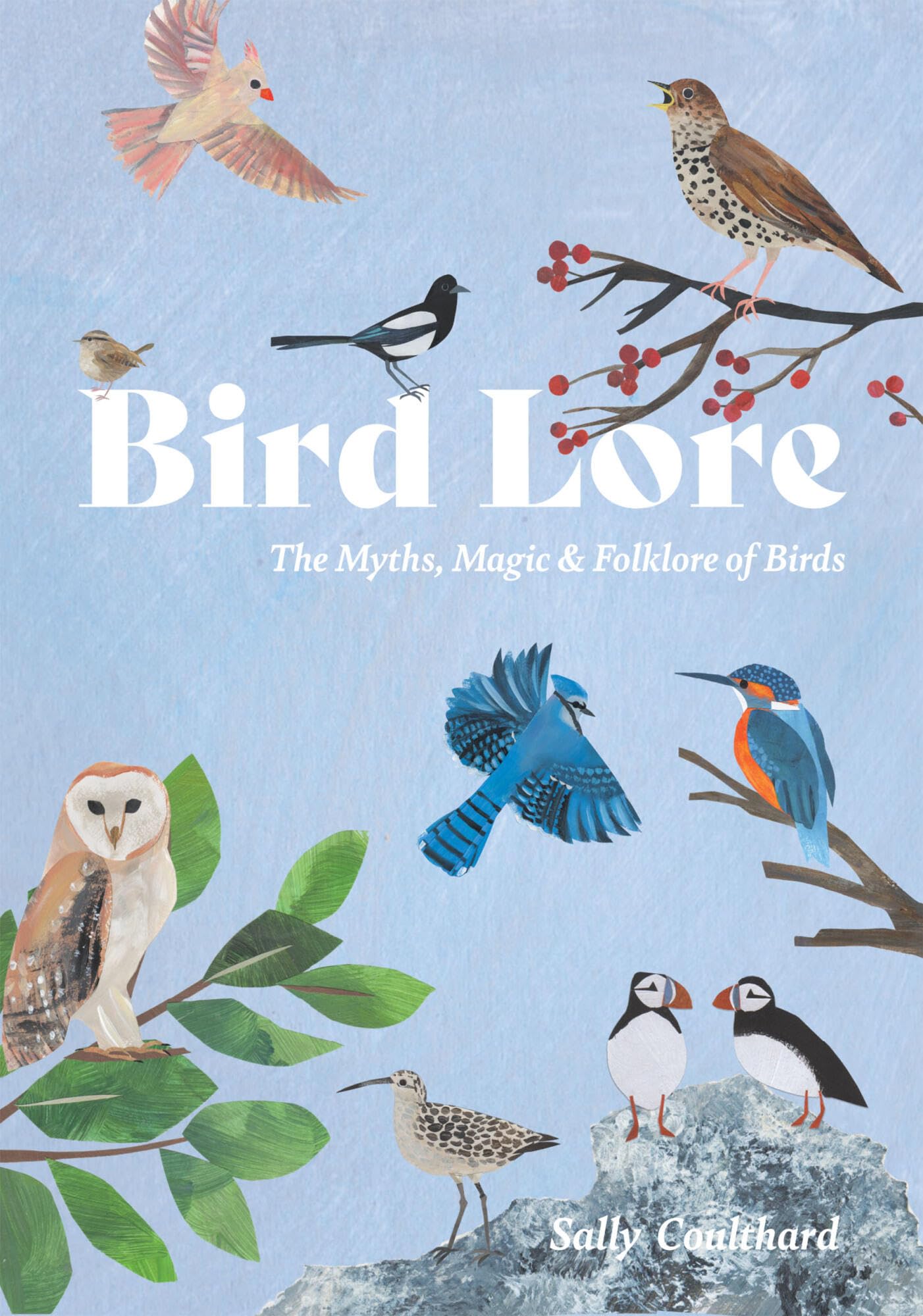 BIRD LORE