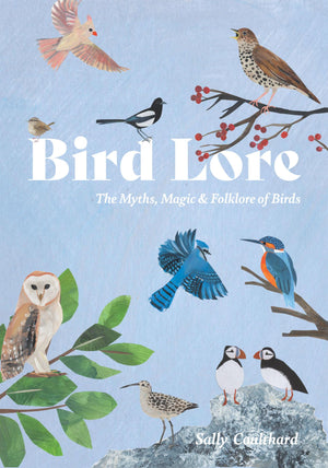 BIRD LORE