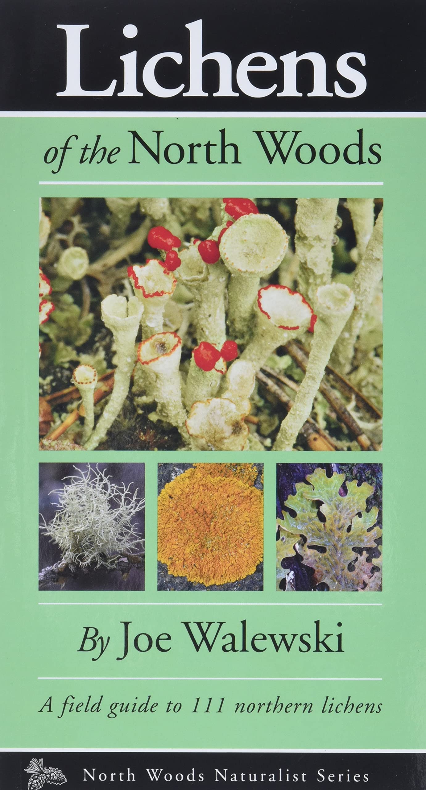 Lichens of the North Woods (Naturalist Series),Used
