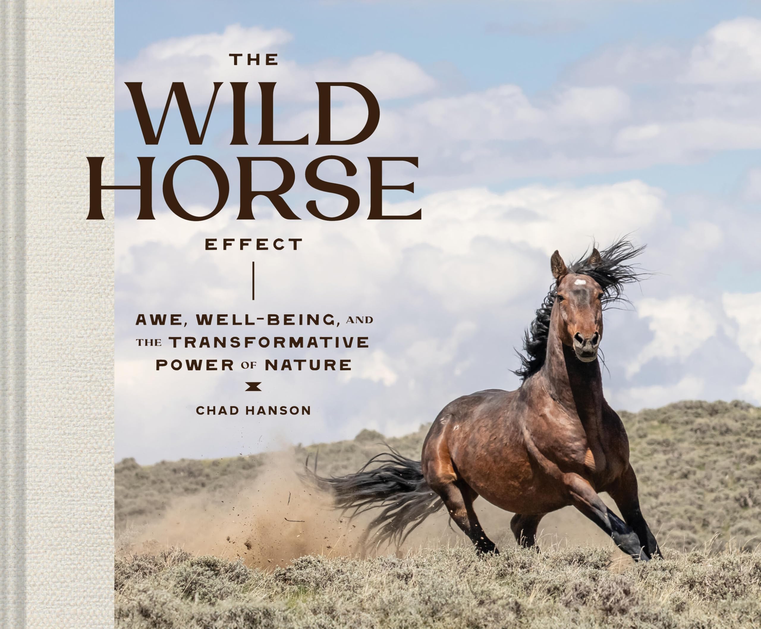 WILD HORSE EFFECT