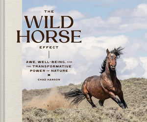 WILD HORSE EFFECT