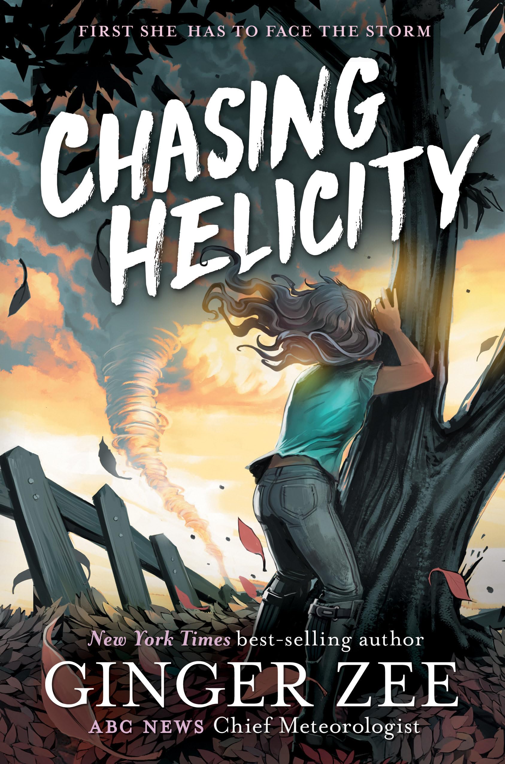 Chasing Helicity: Chasing HelicityChasing Helicity, Book 1,Used
