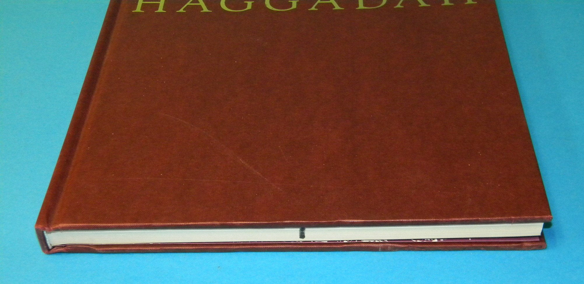 Ashkenazi Haggadah,Used