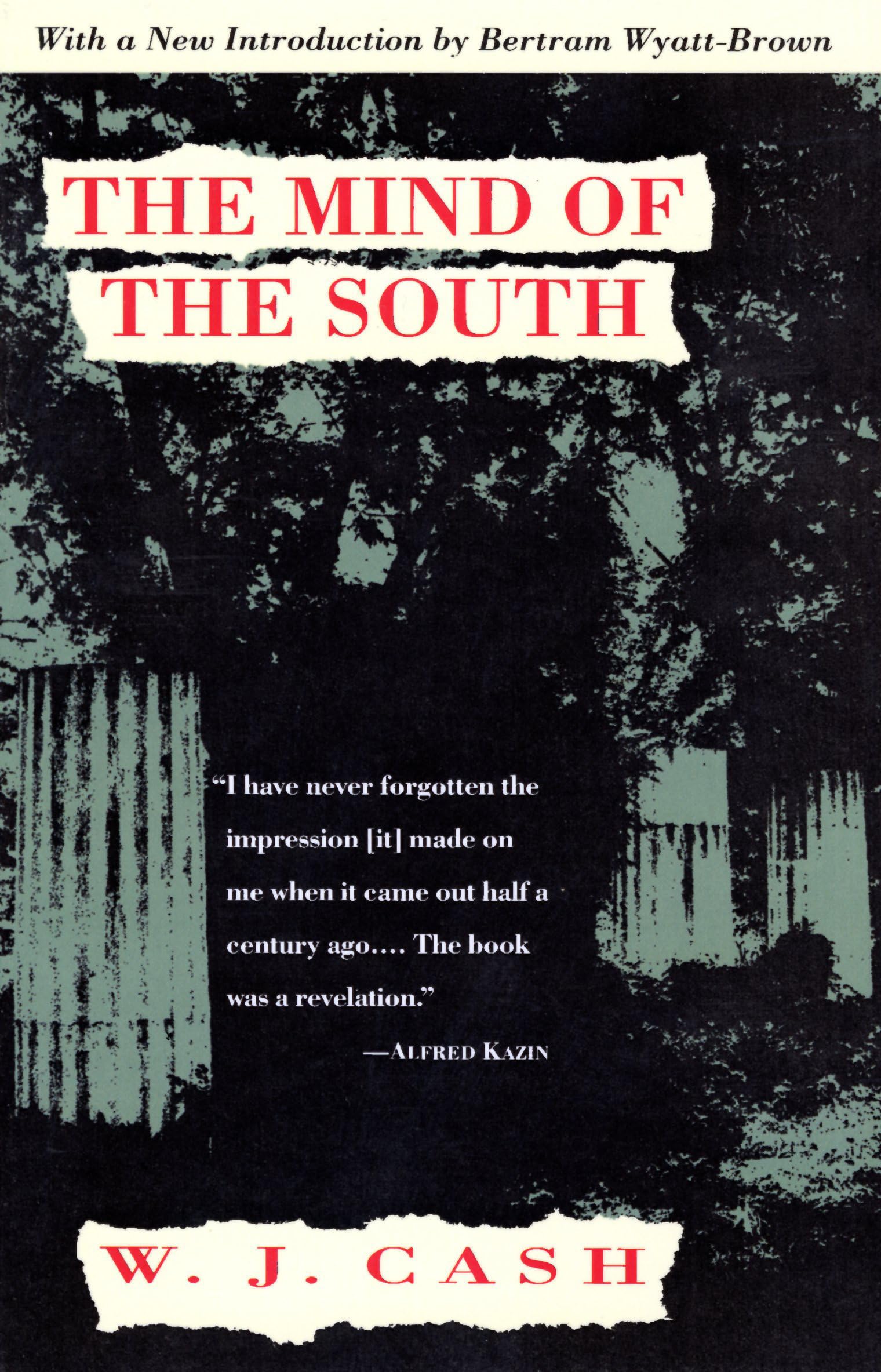 The Mind Of The South