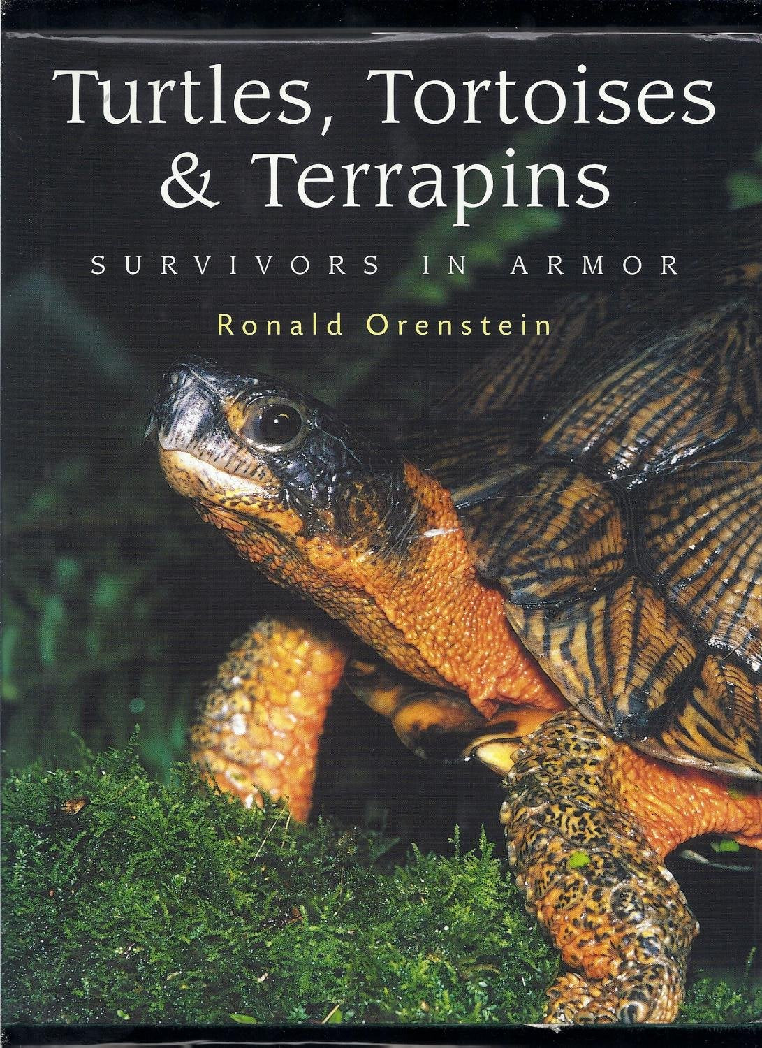 Turtles, Tortoises And Terrapins: Survivors In Armor