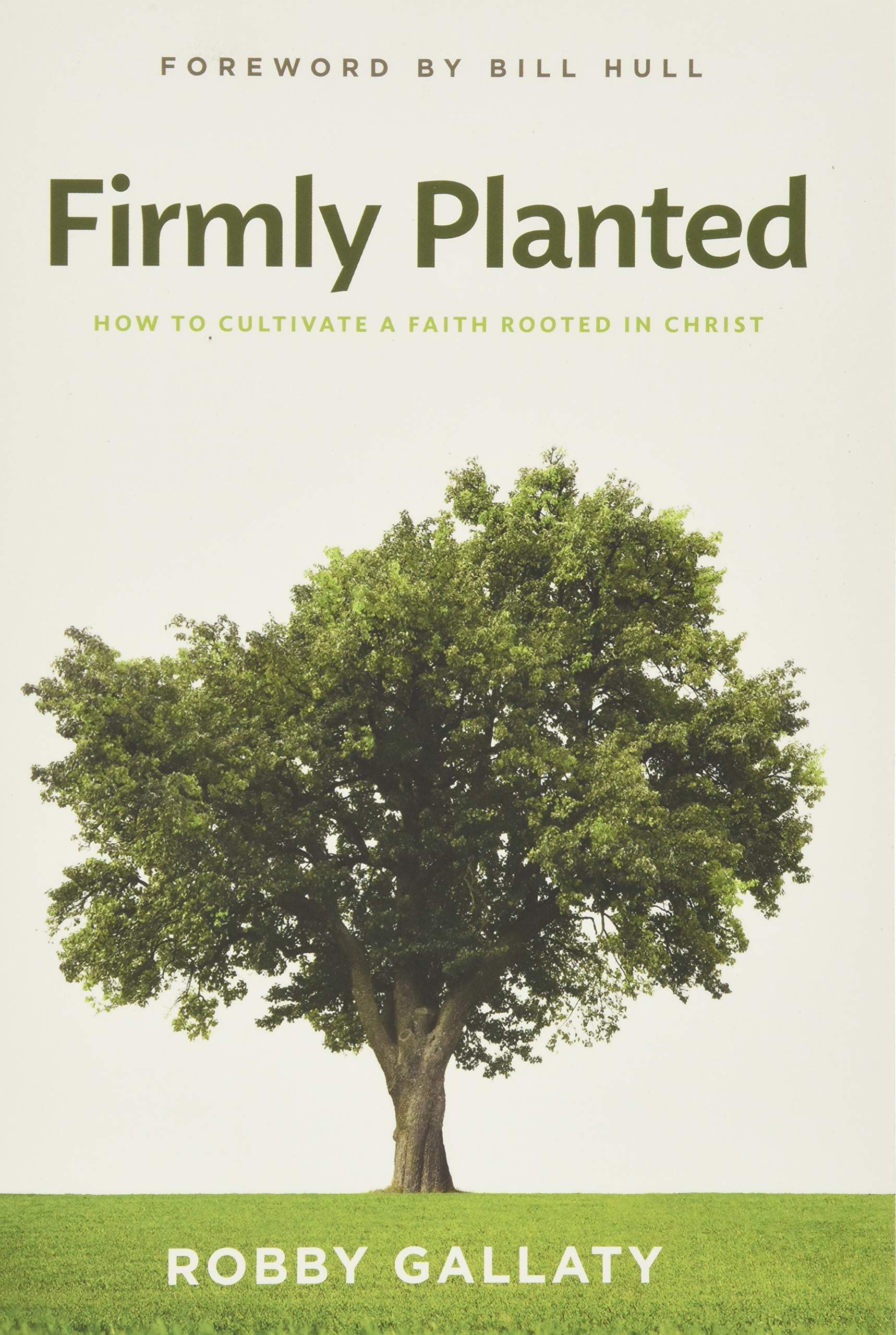 Firmly Planted: How to Cultivate a Faith Rooted in Christ,Used