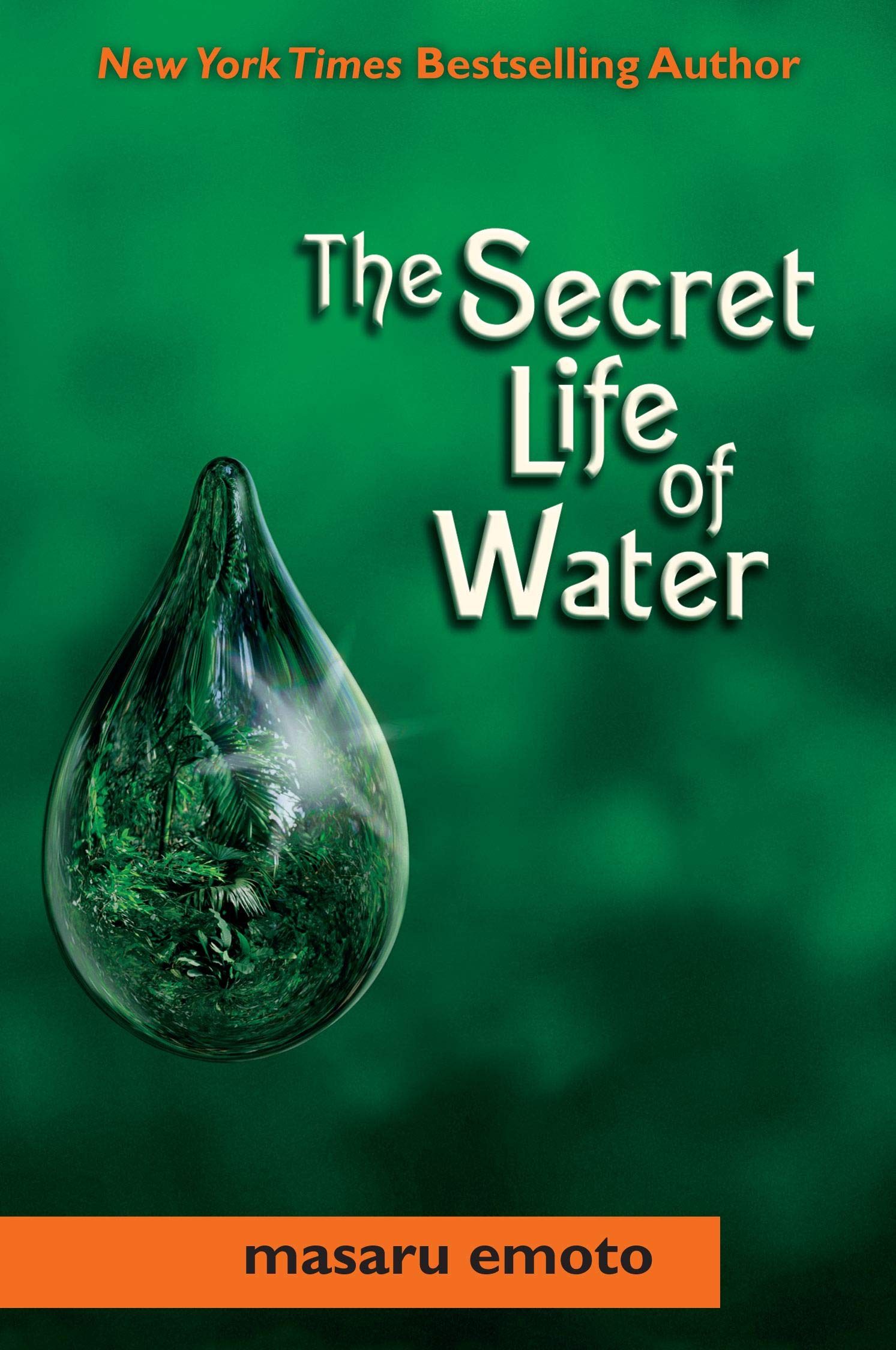 Secret Life Of Water,New