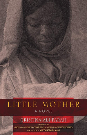 Little Mother: A Novel (Global African Voices),Used