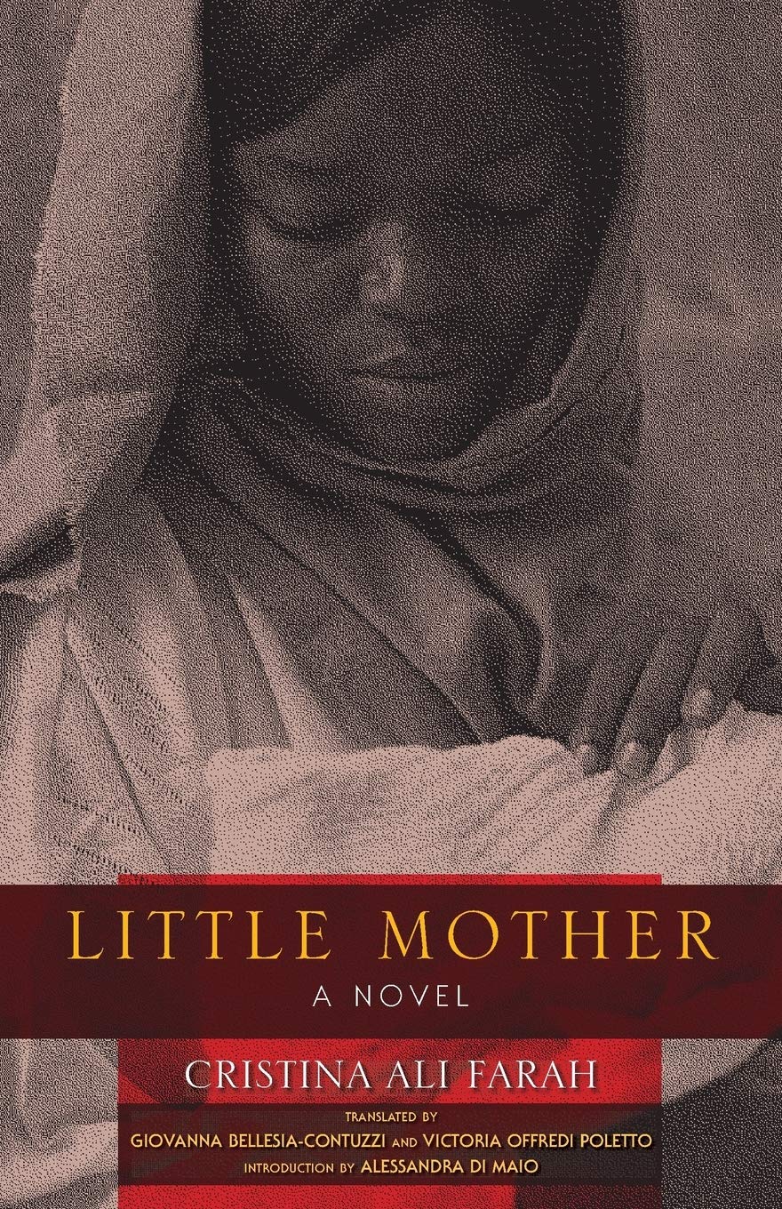 Little Mother: A Novel (Global African Voices),Used