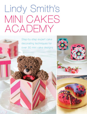 Mini Cakes Academy,Used