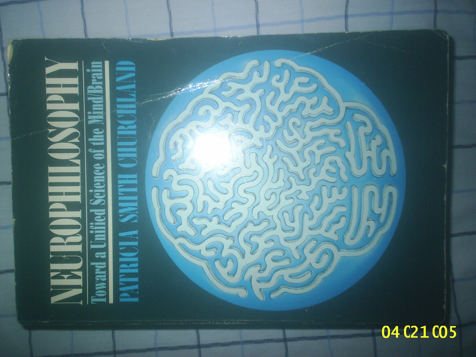 Neurophilosophy: Toward A Unified Science Of The Mindbrain