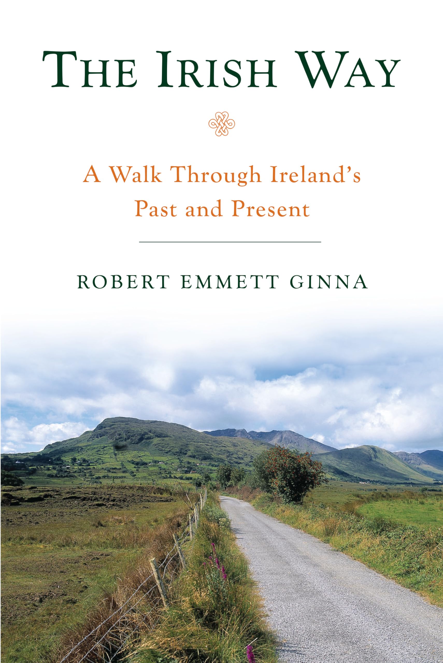 The Irish Way: A Walk Through Ireland's Past and Present,Used