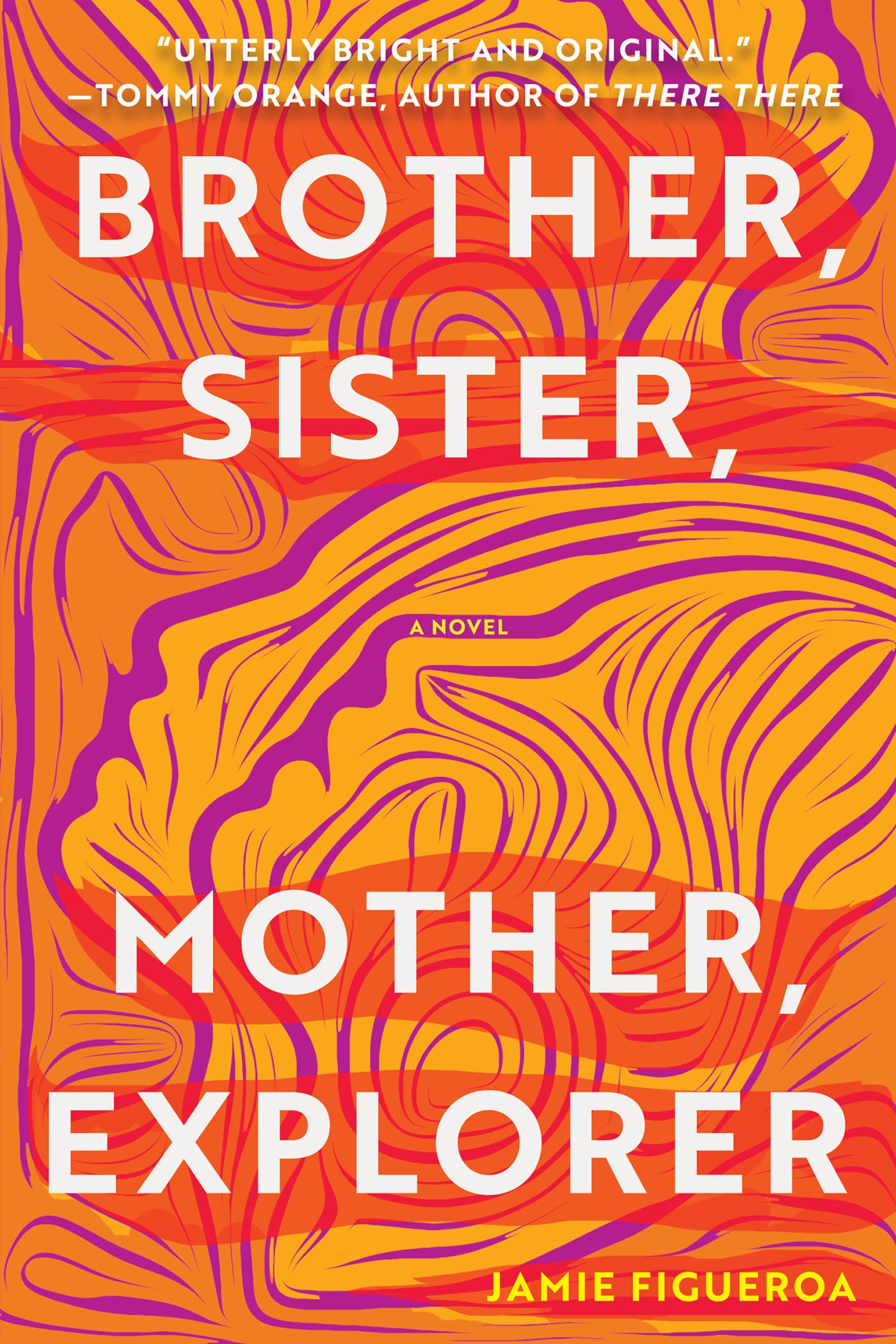 Brother, Sister, Mother, Explorer: A Novel,Used