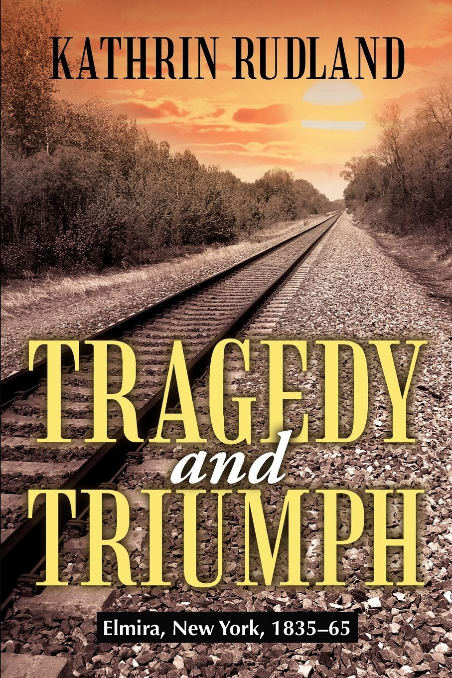 Tragedy And Triumph: Elmira, New York, 183565,Used