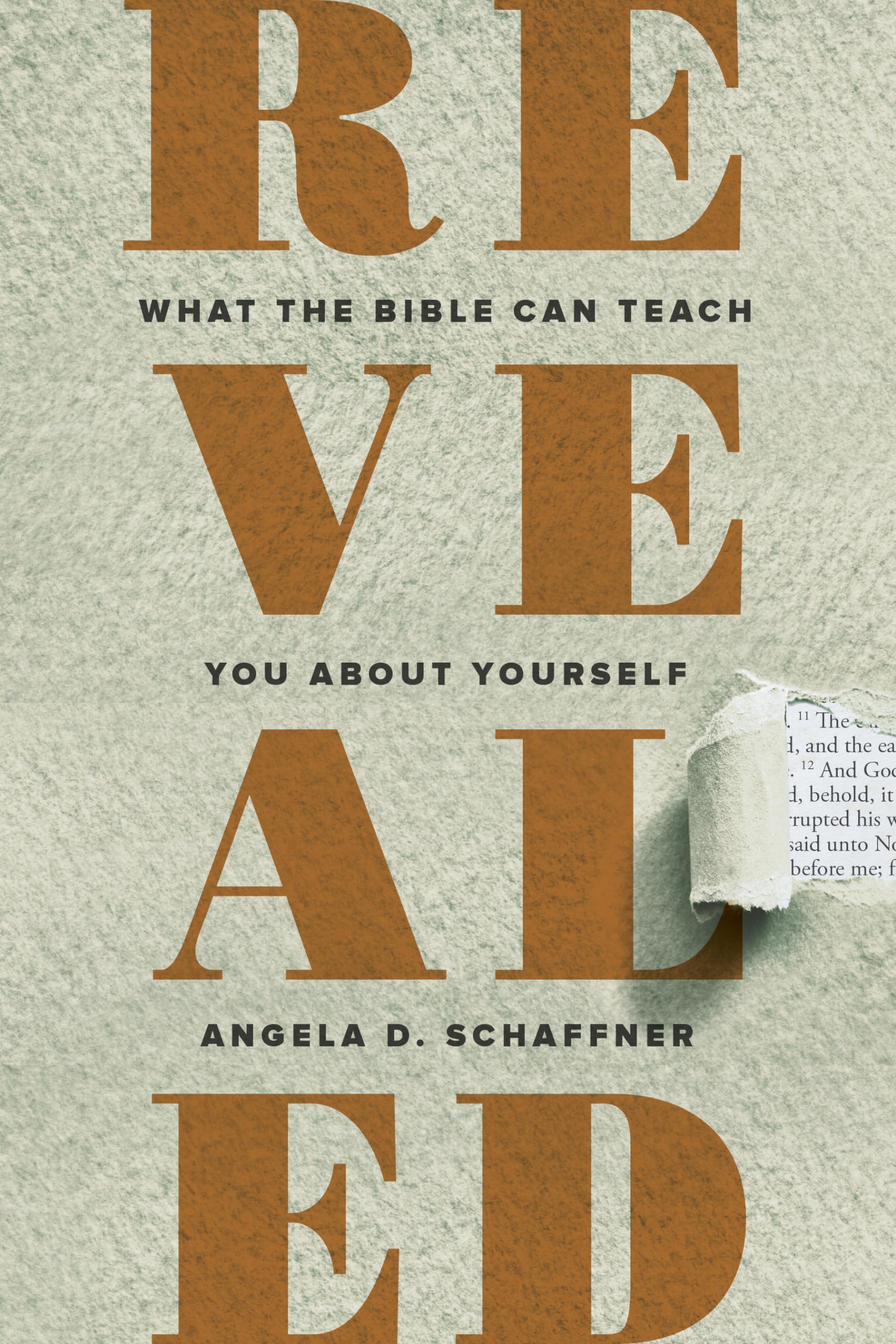 Revealed: What the Bible Can Teach You About Yourself,Used