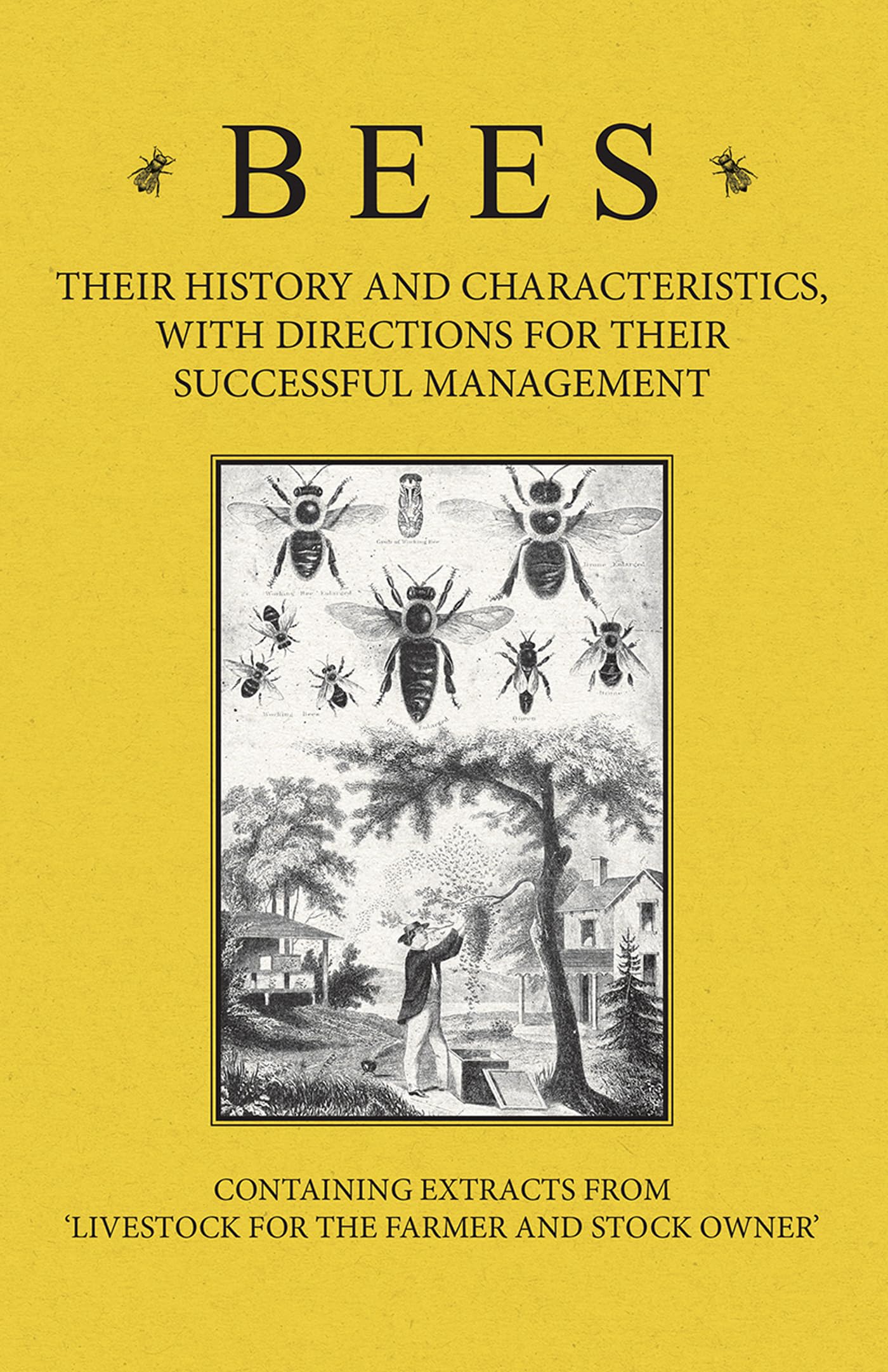 Bees  Their History And Characteristics, With Directions For Their Successful Management  Containing Extracts From Livestock F,Used