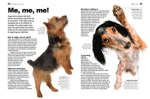 The Dog Decoder: The Essential Guide to Understanding Your Dog's Behavior,Used