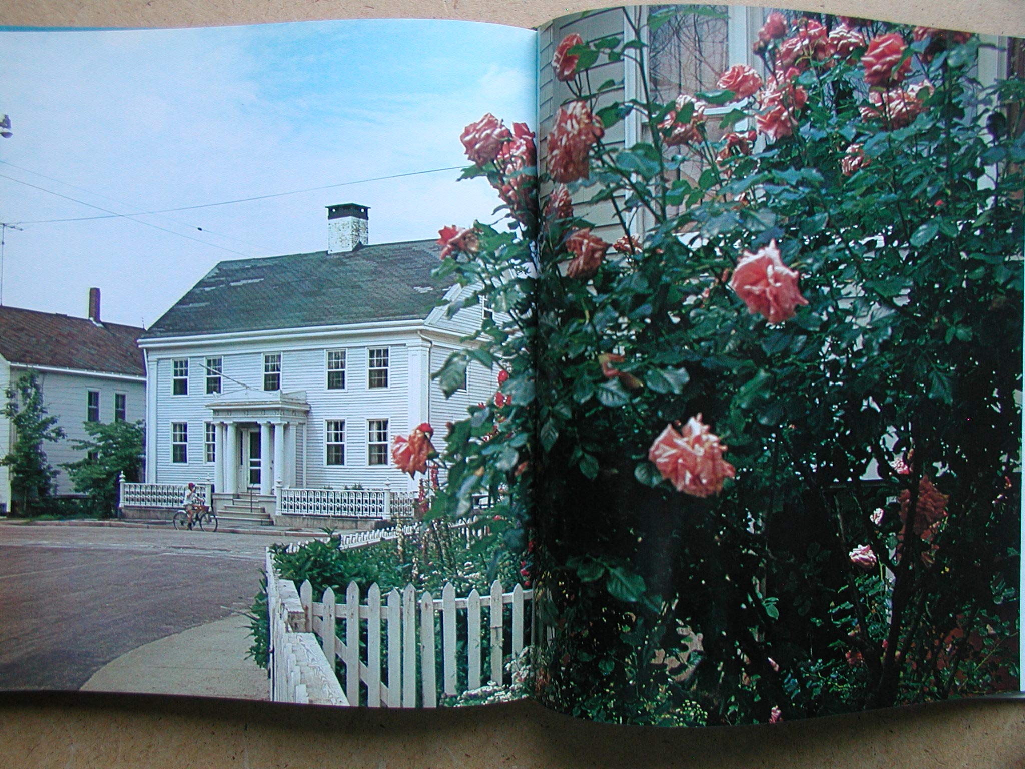 In the Country: 2 (A Studio book)