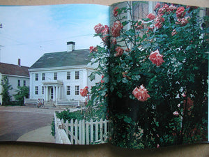 In the Country: 2 (A Studio book)