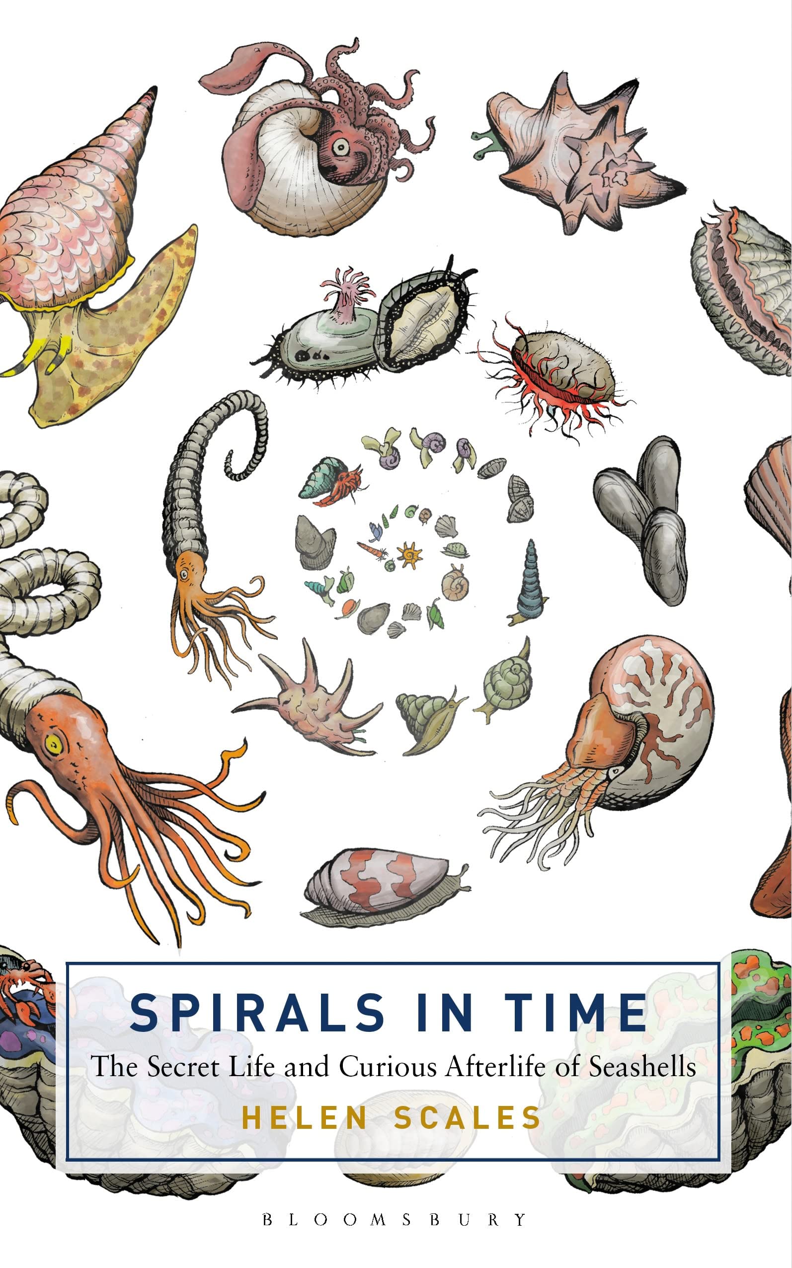 Spirals In Time: The Secret Life And Curious Afterlife Of Seashells (Bloomsbury Sigma)