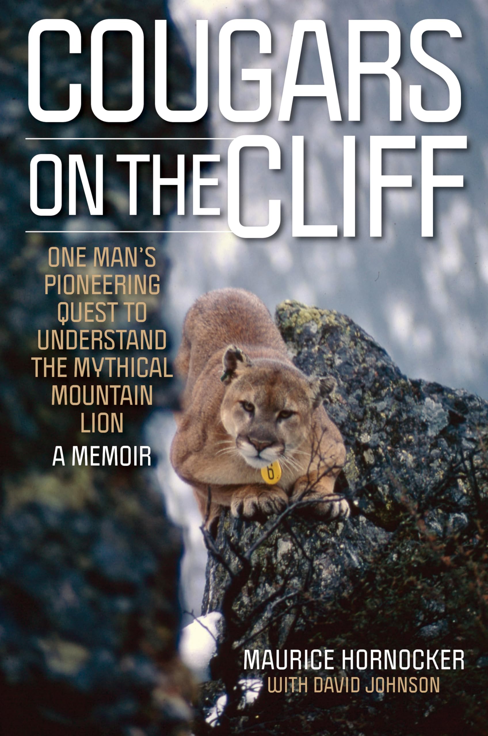 Cougars On The Cliff: One Man'S Pioneering Quest To Understand The Mythical Mountain Lion, A Memoir,New