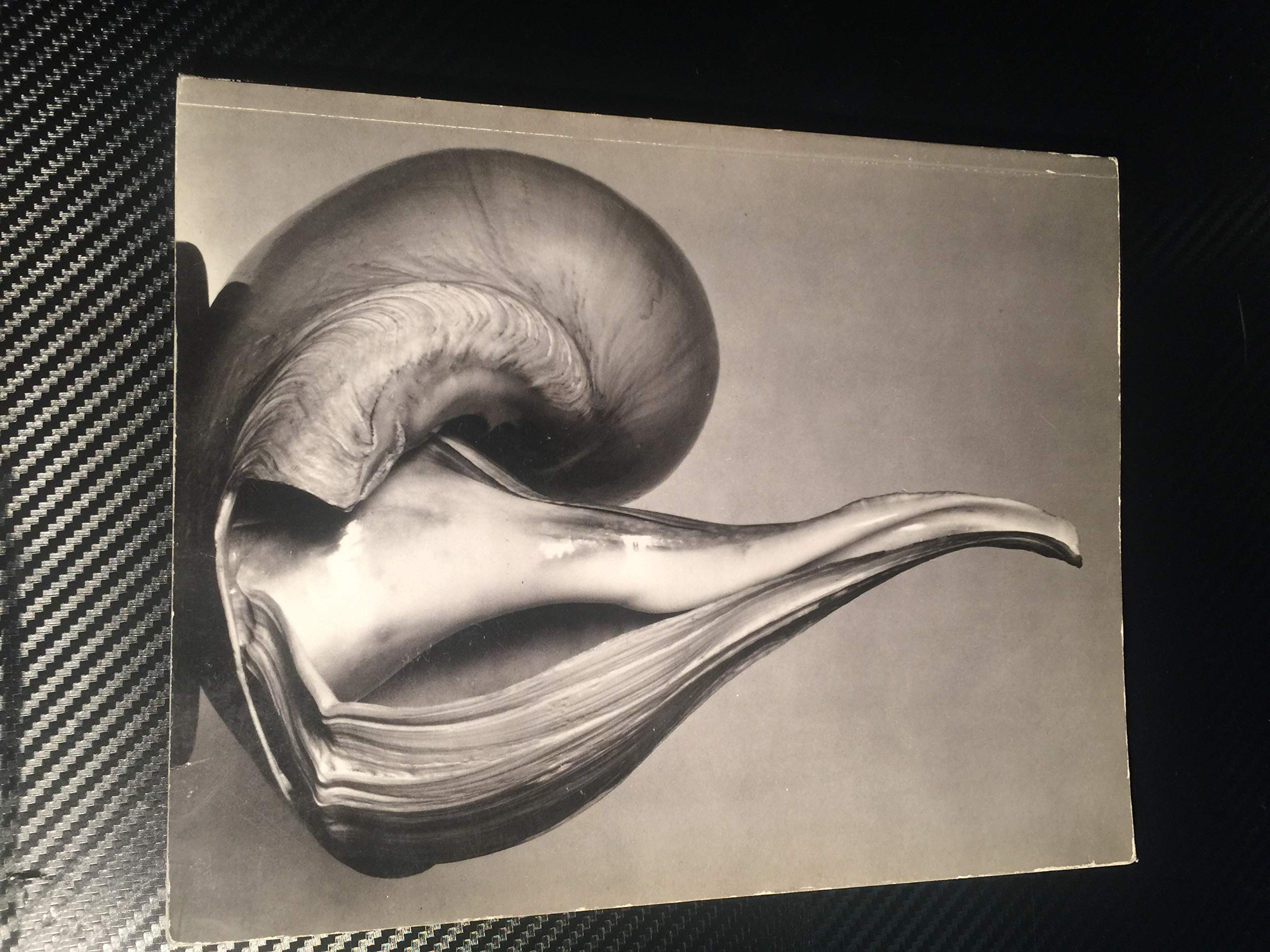 Don Worth, Photographs 19551985 (Untitled Series No. 40),New