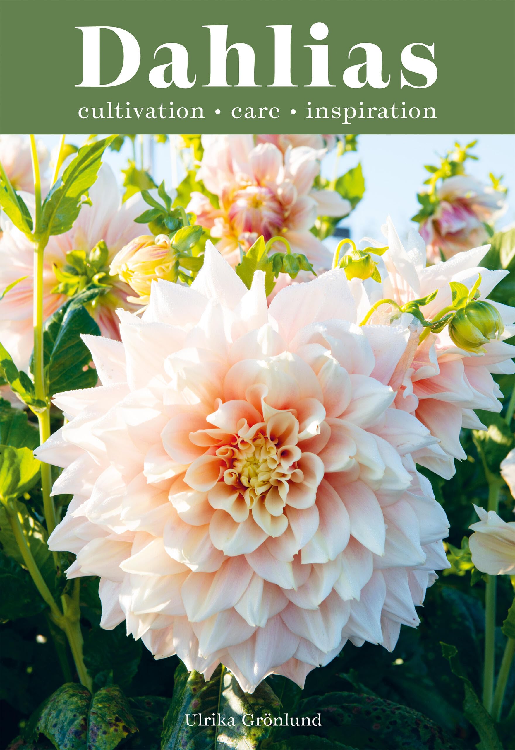 Dahlias: Inspiration, Cultivation and Care for 222 Varieties,New