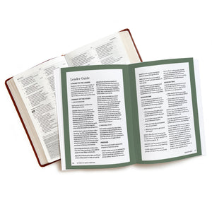 In View of Gods Mercies - Bible Study Book with Video Access: The Gift of the Gospel in Romans-New