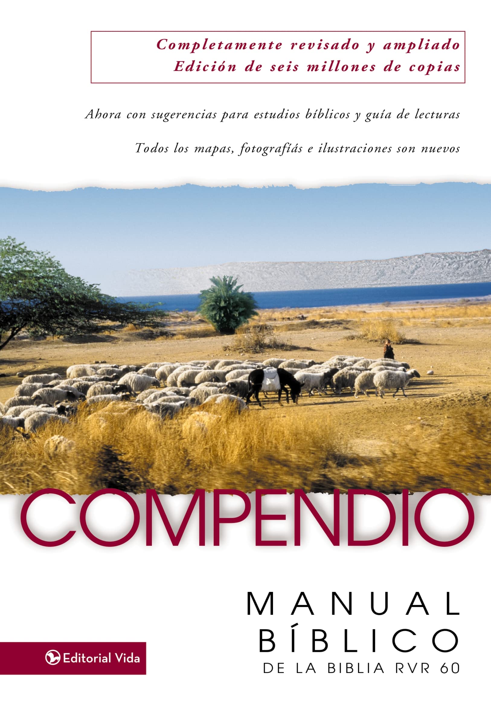 Compendio: Manual Biblico de la Biblia RVR 60 (Spanish Edition),Used