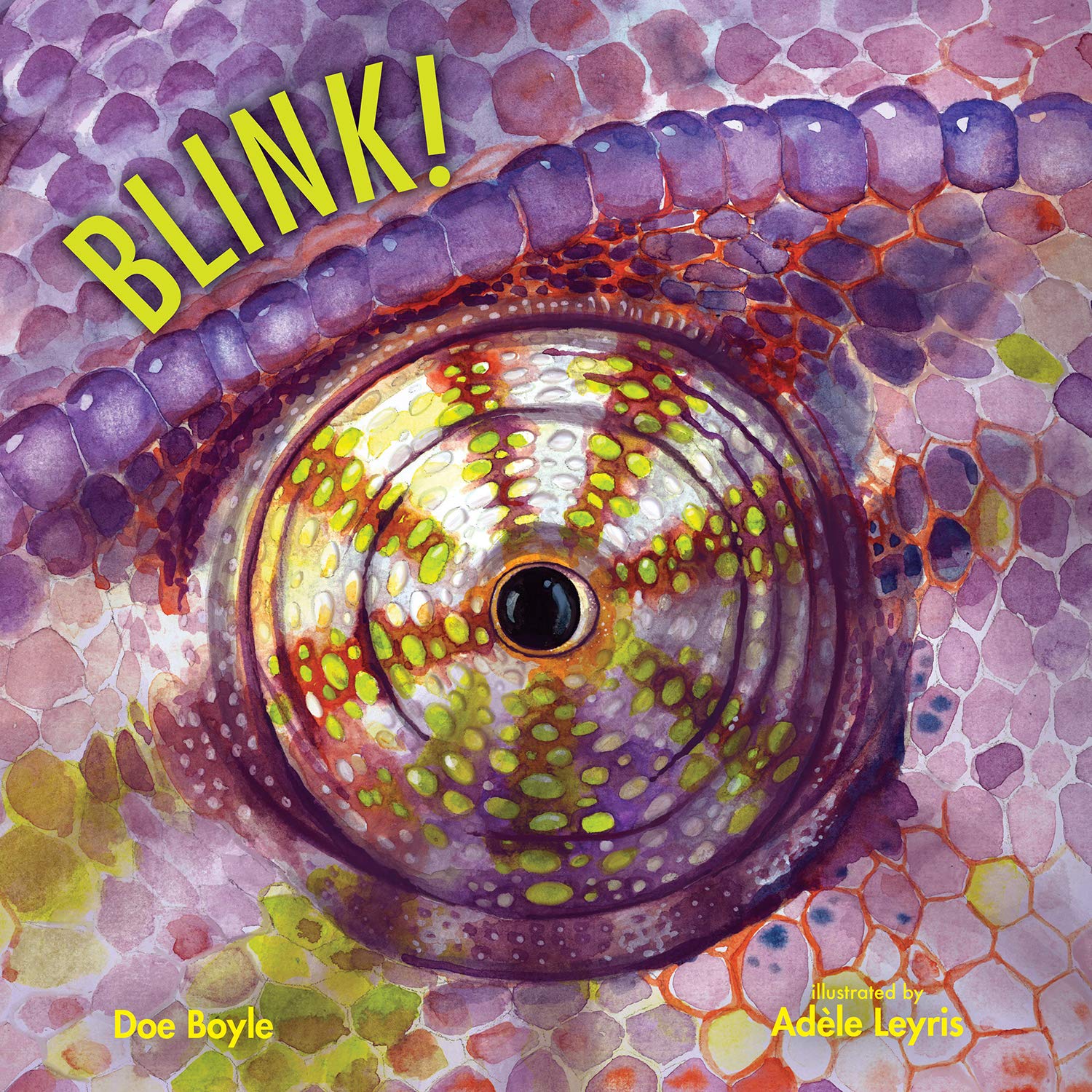 Blink! (Imagine This!),Used