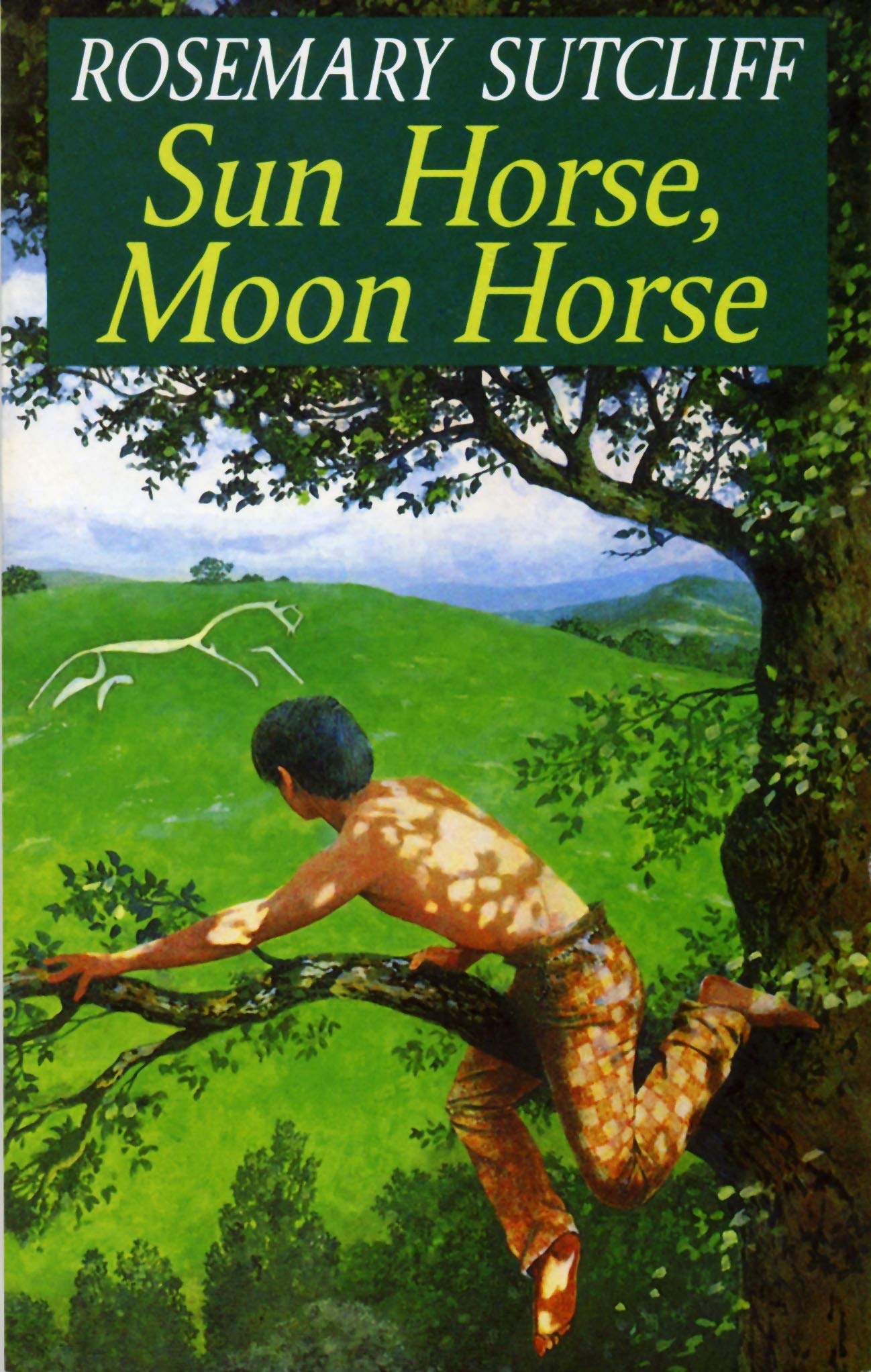 Sun Horse Moon Horse (Red Fox Older Fiction),Used