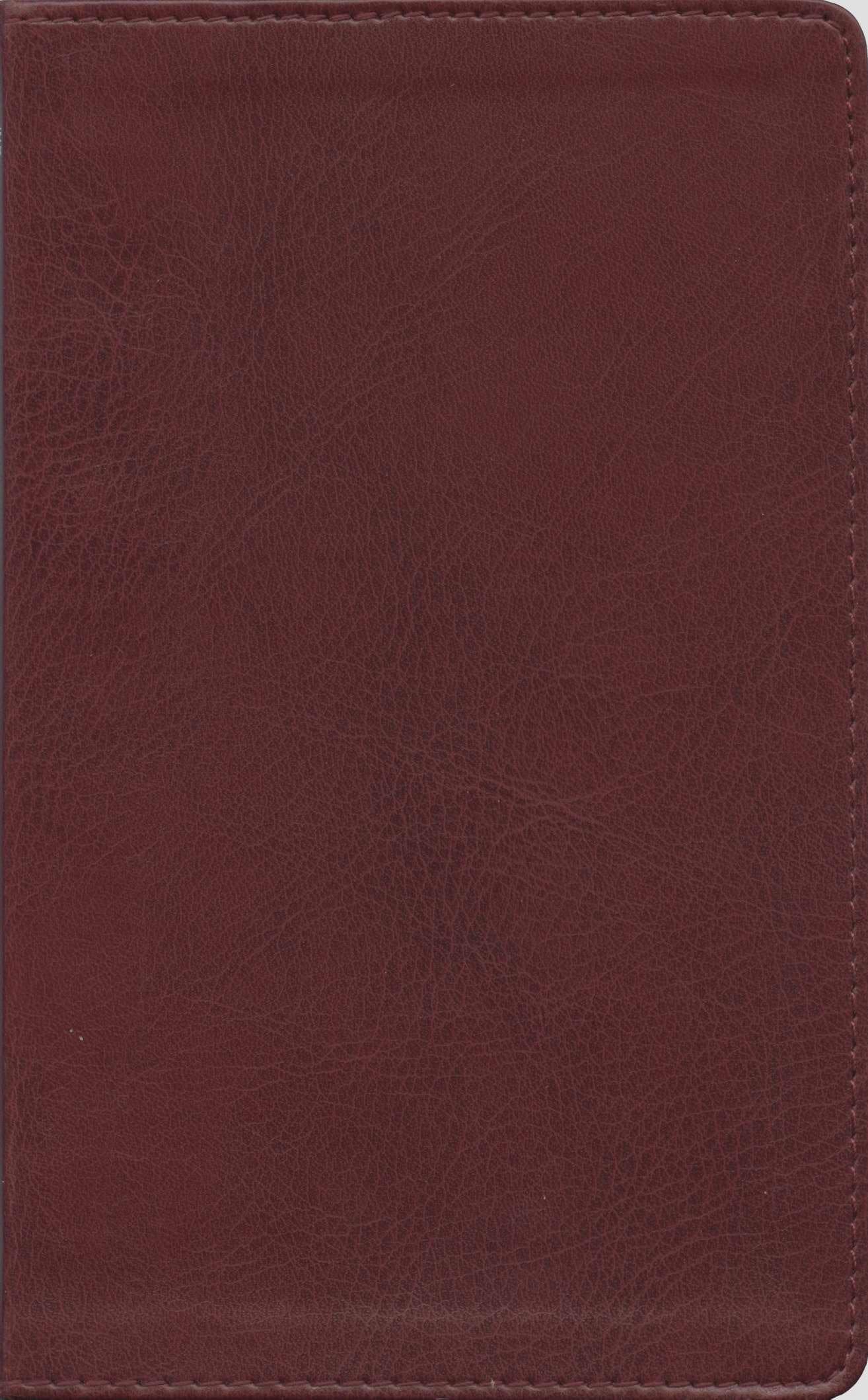 The Message//REMIX New Testament: The New Testament in Contemporary Language,Used