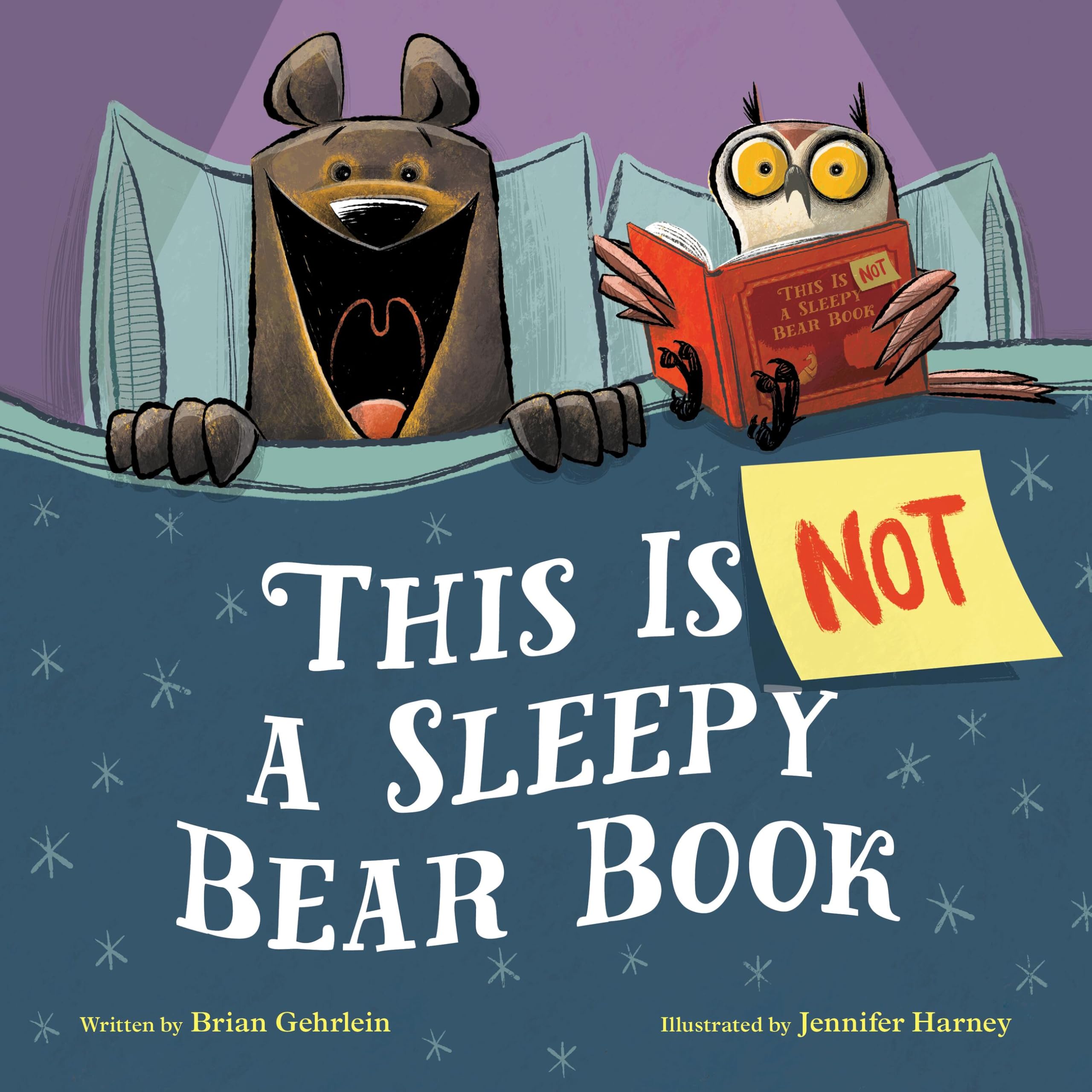 This Is Not A Sleepy Bear Book
