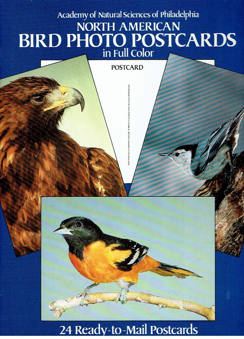 North American Bird Photo Postcards In Full Color,New