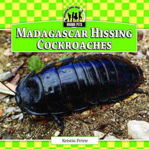 Madagascar Hissing Cockroaches (Unique Pets),Used