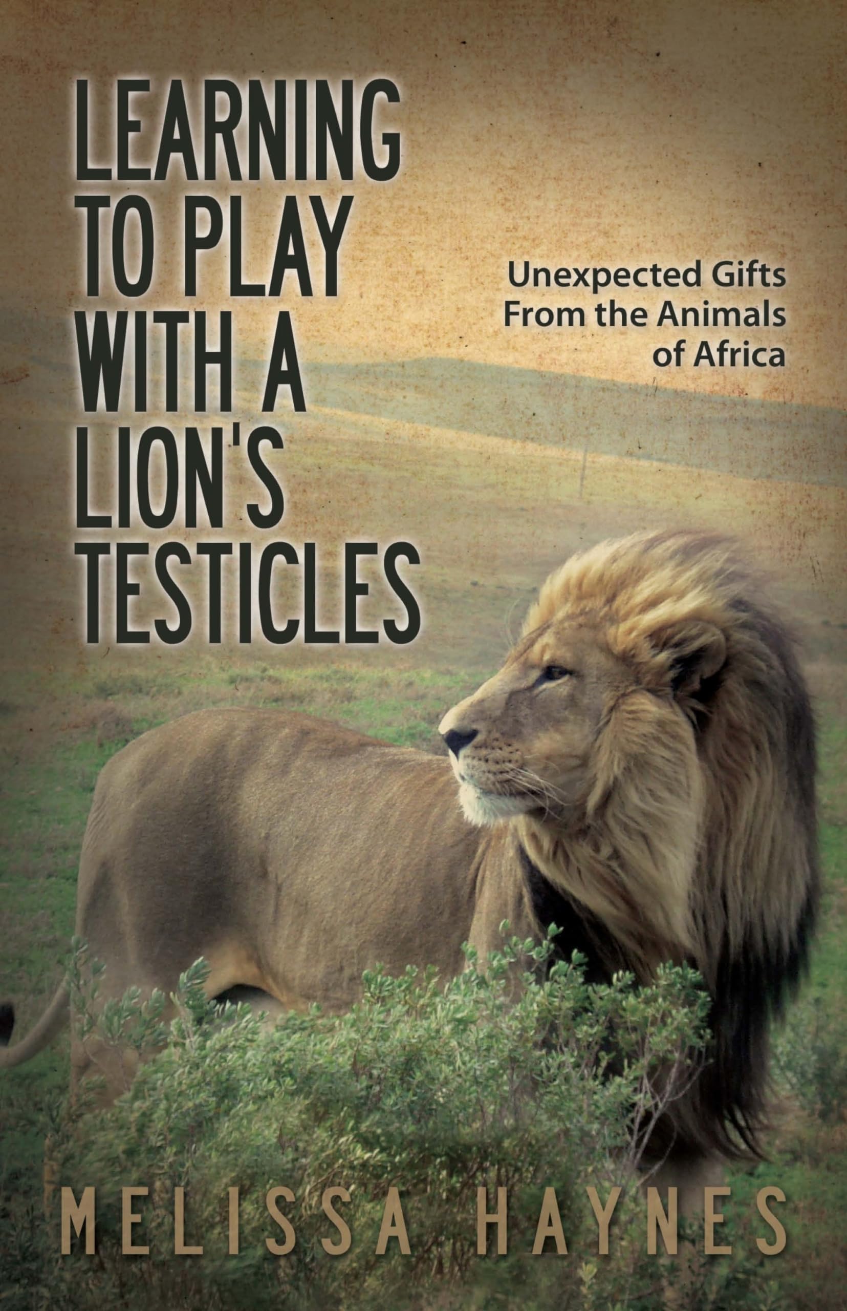 Learning to Play With a Lion?s Testicles: Unexpected Gifts From the Animals of Africa,Used