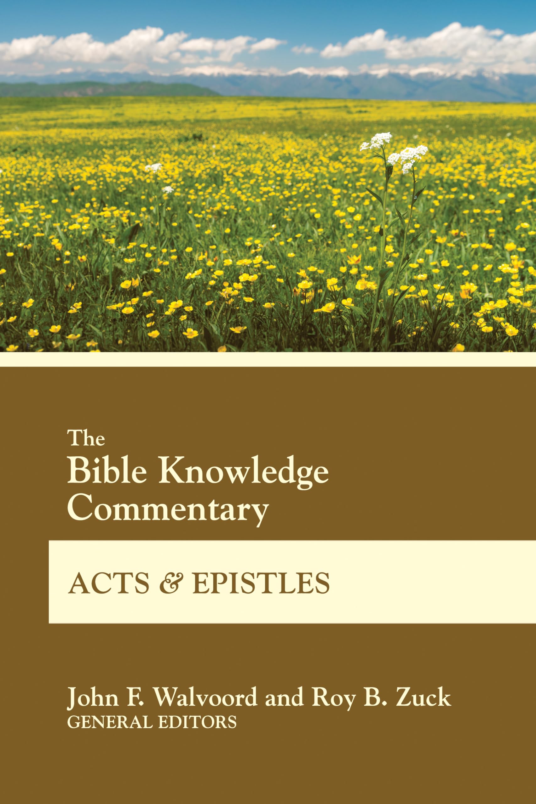 The Bible Knowledge Commentary Acts and Epistles,Used