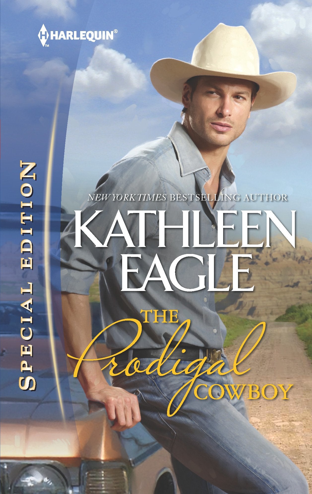 The Prodigal Cowboy,Used