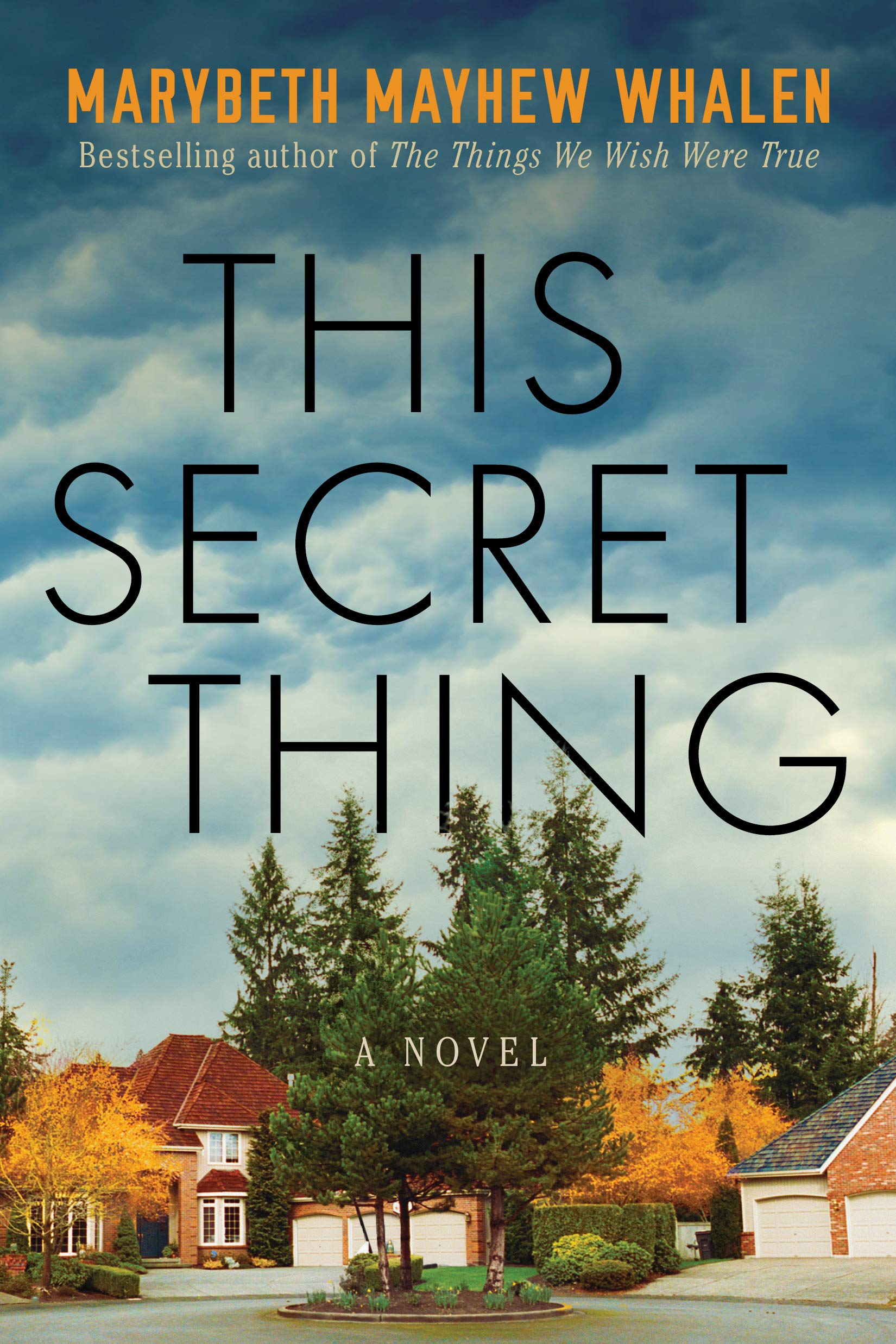 This Secret Thing: A Novel,Used