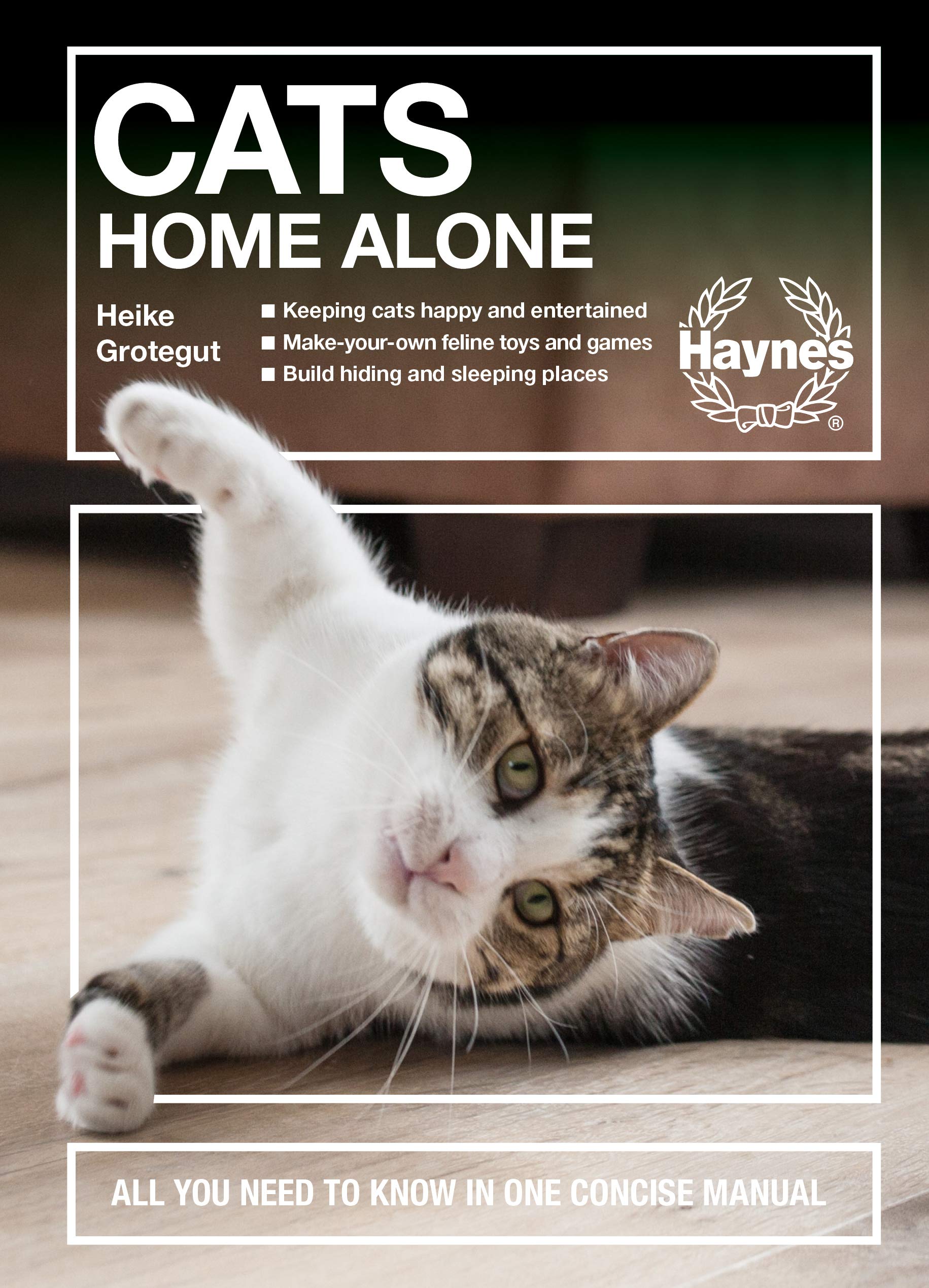 Cats Home Alone: All You Need To Know In One Concise Manual  Keeping Cats Happy And Entertained  Makeyouown Feline Toys And