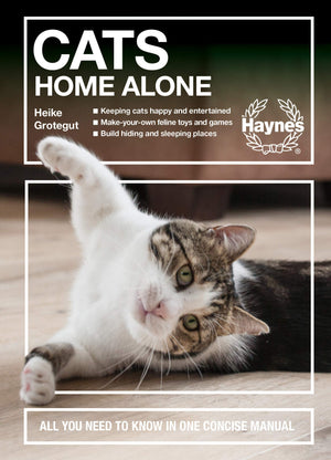 Cats Home Alone: All You Need To Know In One Concise Manual  Keeping Cats Happy And Entertained  Makeyouown Feline Toys And