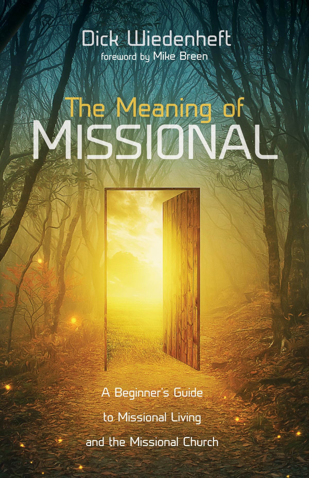 The Meaning of Missional,Used