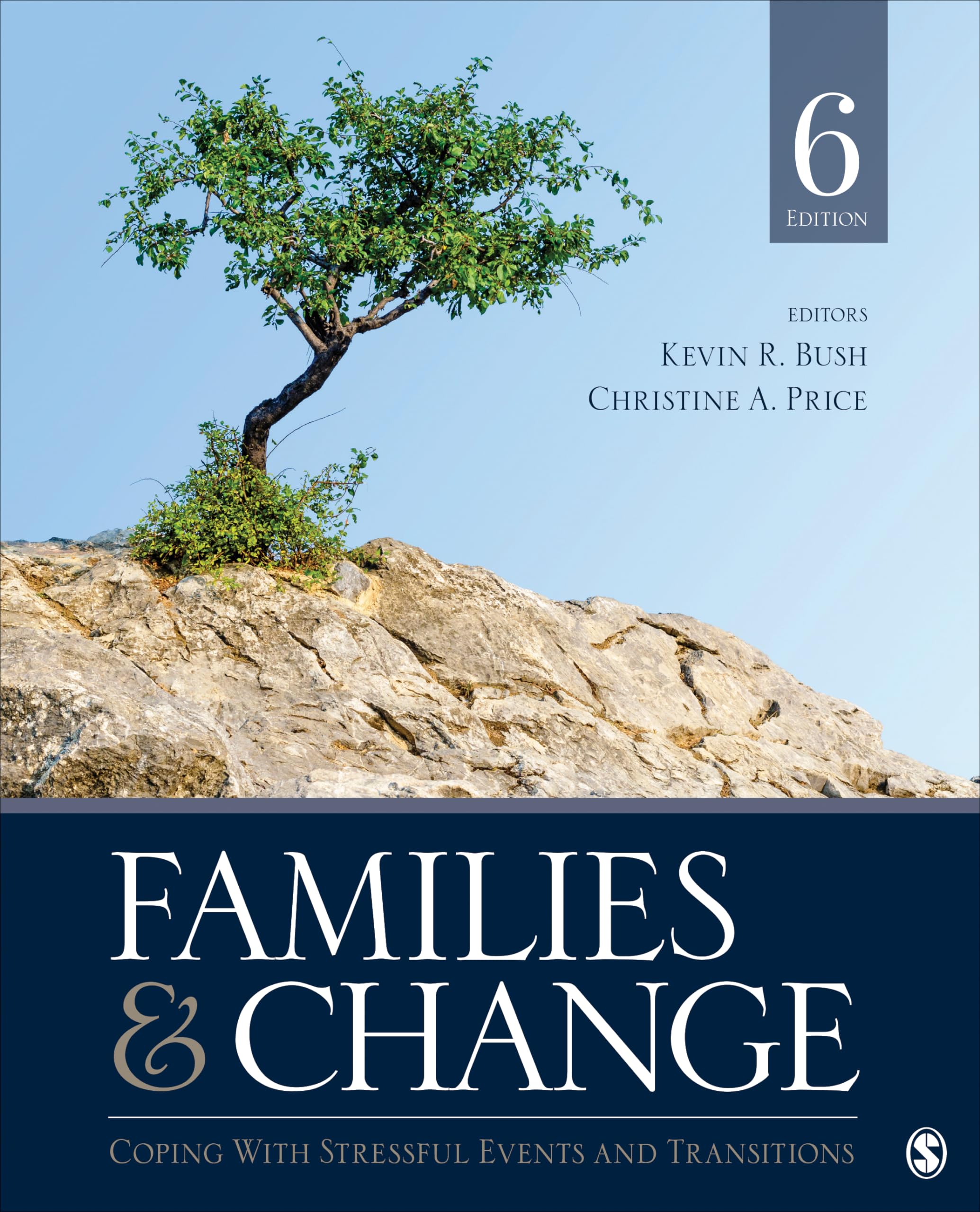 Families & Change: Coping With Stressful Events And Transitions