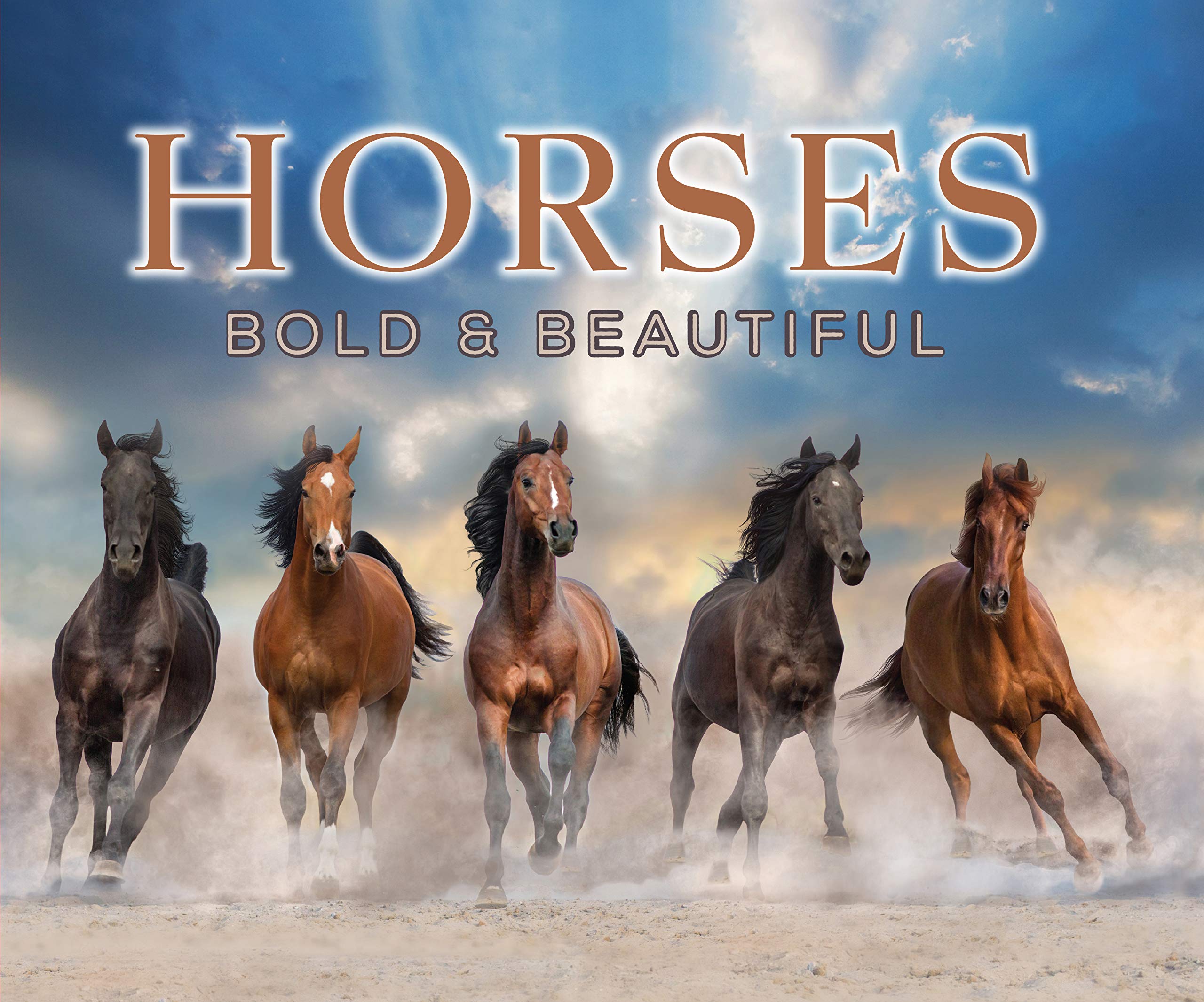 Horses: Bold and Beautiful,Used
