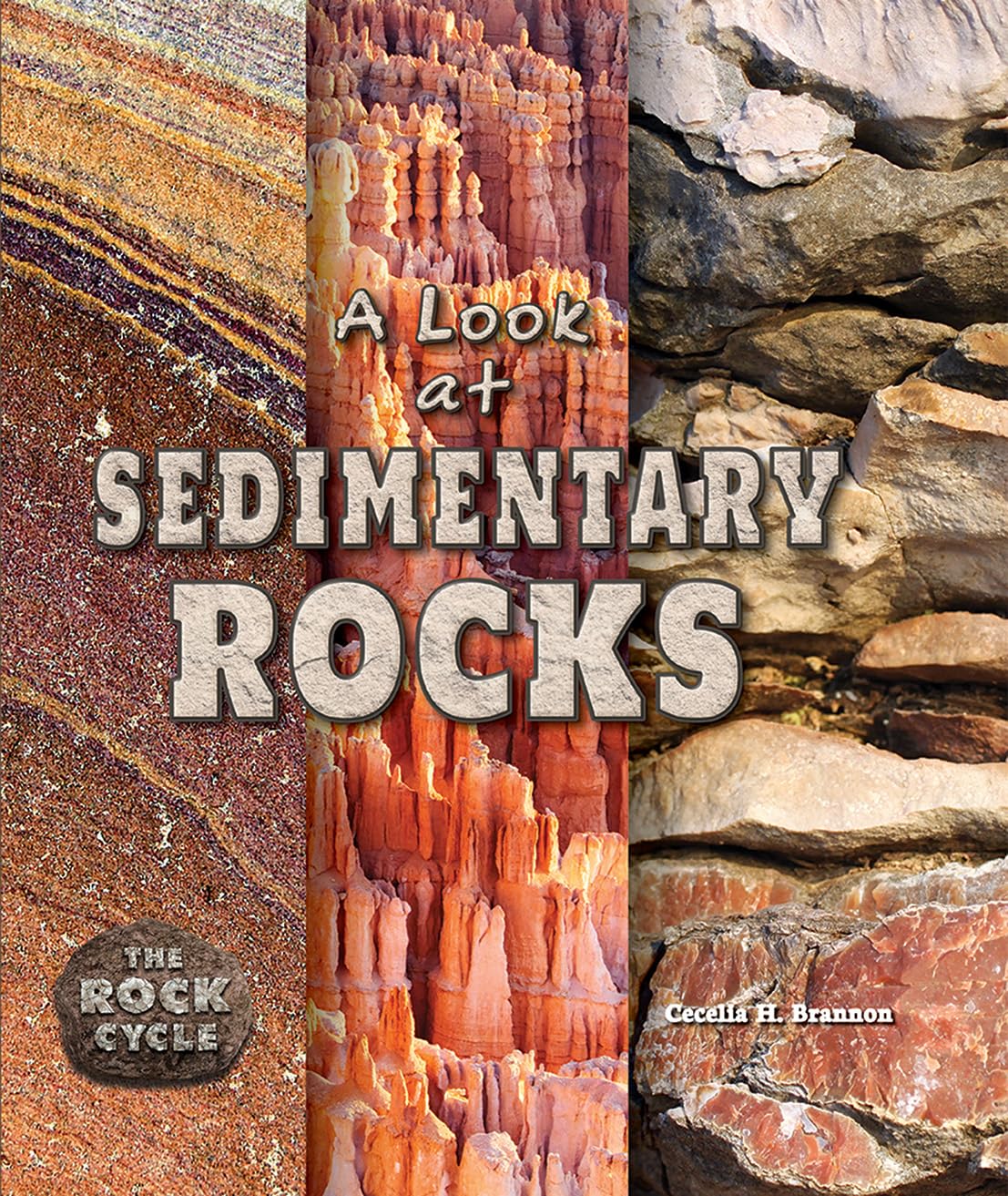 A Look at Sedimentary Rocks (The Rock Cycle),Used