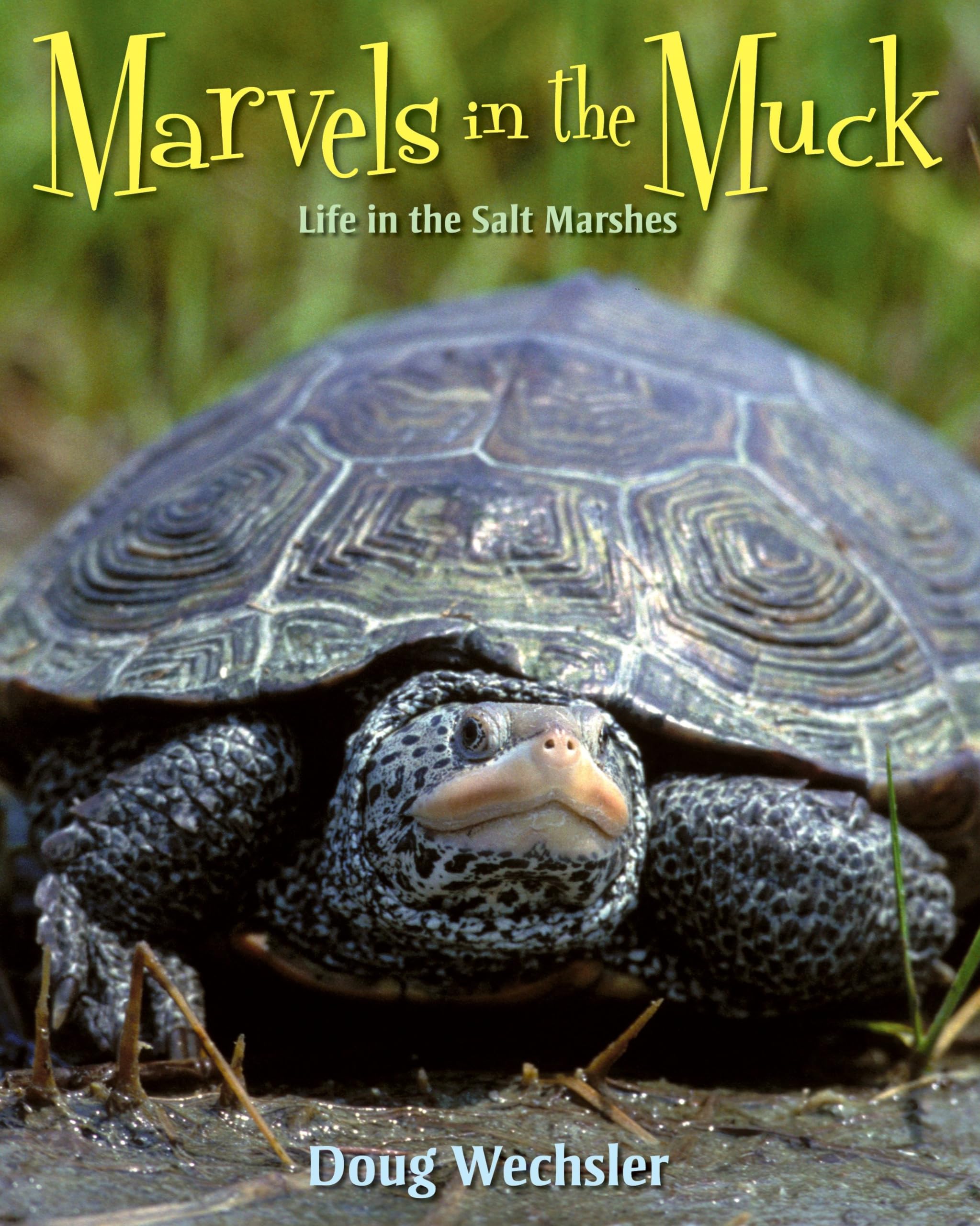 Marvels in the Muck: Life in the Salt Marshes,Used