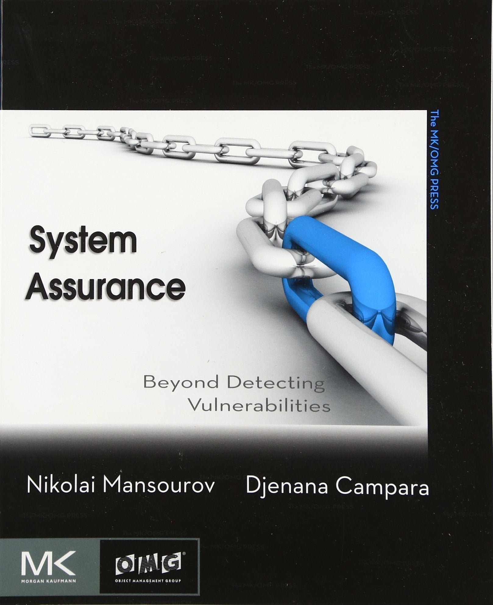 System Assurance: Beyond Detecting Vulnerabilities (The MK/OMG Press),Used
